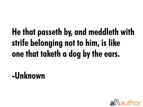He that passeth by, and meddleth with strife belonging not to him, is like one that taketh a dog by... - Unknown Quote GIF