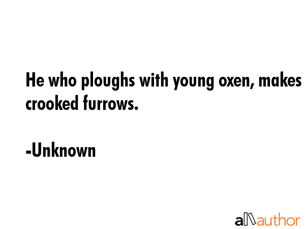 He who ploughs with young oxen, makes crooked furrows. - Unknown Quote GIF