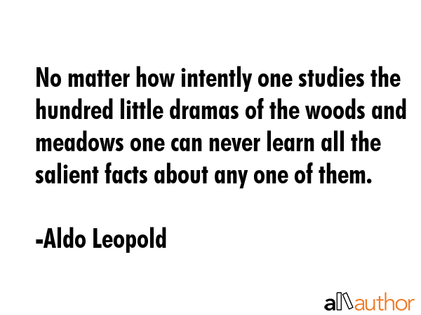 No matter how intently one studies the hundred little dramas of the woods and meadows one can never learn all the salient facts about any one of them. - Aldo Leopold Quote
