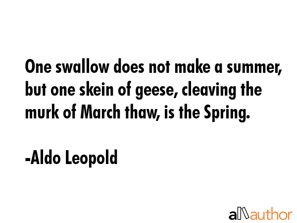 One swallow does not make a summer, but one skein of geese, cleaving the murk of March thaw, is the Spring. - Aldo Leopold Quote