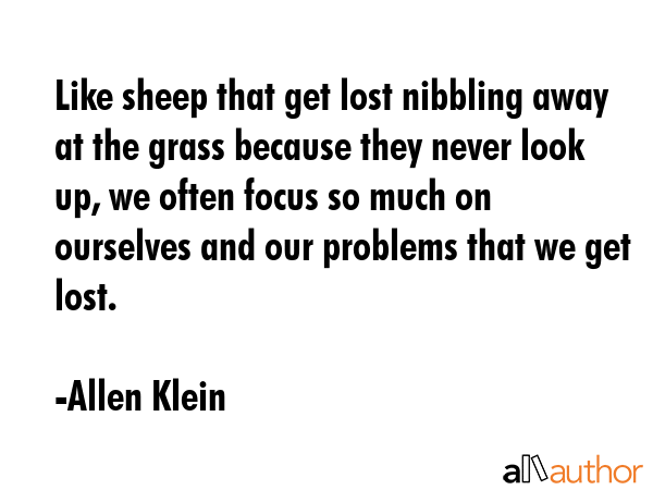 Like sheep that get lost nibbling away at the grass because they never look up, we often focus so... - Allen Klein Quote GIF