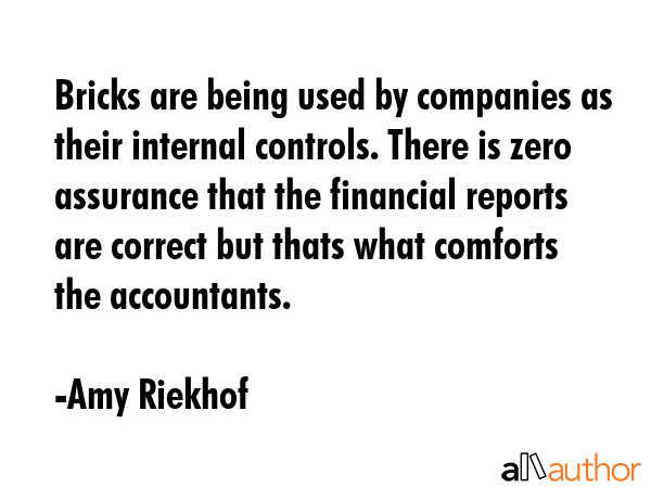 Bricks are being used by companies as their internal controls. There is zero assurance that the... - Amy Riekhof Quote GIF