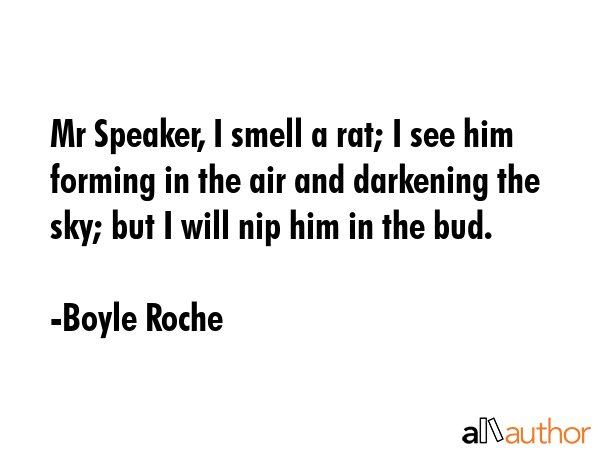 Mr Speaker, I smell a rat; I see him forming in the air and darkening the sky; but I will nip him in the bud. - Boyle Roche Quote