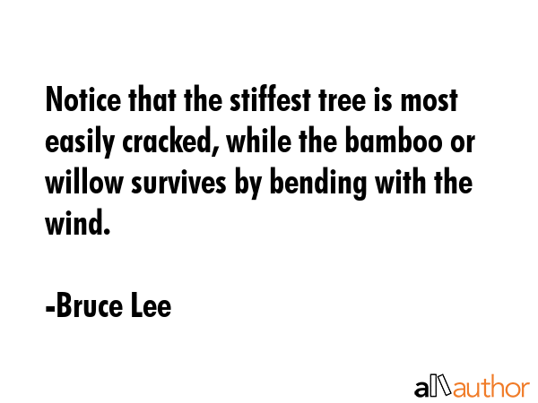 Notice that the stiffest tree is most easily cracked, while the bamboo or willow survives by... - Bruce Lee Quote GIF