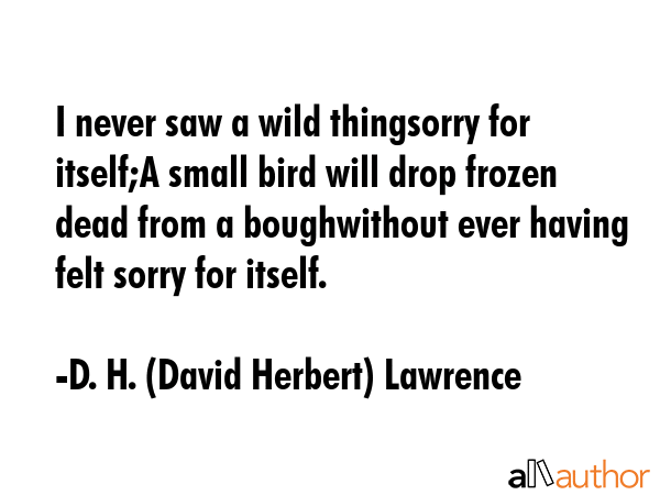I never saw a wild thingsorry for itself;A small bird will drop frozen dead from a boughwithout... - D. H. (David Herbert) Lawrence Quote GIF