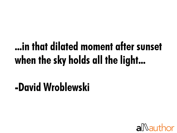 ...in that dilated moment after sunset when the sky holds all the light... - David Wroblewski Quote GIF