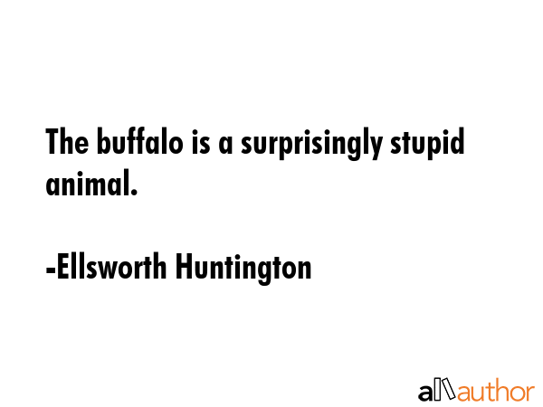 The buffalo is a surprisingly stupid animal. - Ellsworth Huntington Quote GIF