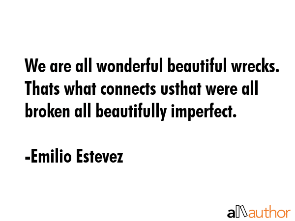 We are all wonderful beautiful wrecks. Thats what connects usthat were all broken all beautifully... - Emilio Estevez Quote GIF