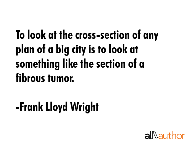 To look at the cross-section of any plan of a big city is to look at something like the section of... - Frank Lloyd Wright Quote GIF