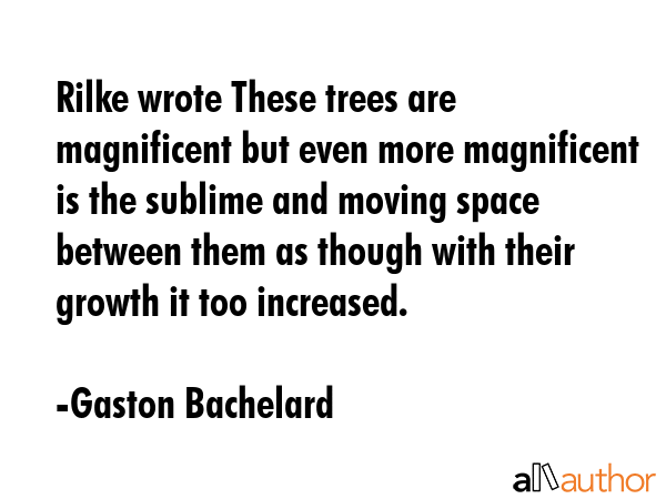 Rilke wrote These trees are magnificent but even more magnificent is the sublime and moving space between them as though with their growth it too increased. - Gaston Bachelard Quote