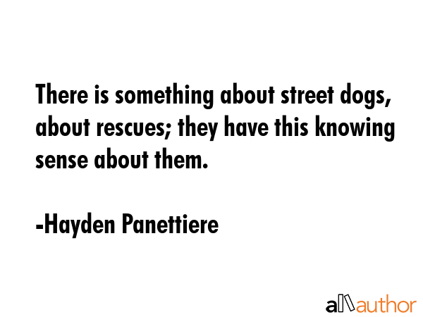 There is something about street dogs, about rescues; they have this knowing sense about them. - Hayden Panettiere Quote GIF