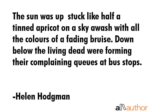 The sun was up  stuck like half a tinned apricot on a sky awash with all the colours of a fading... - Helen Hodgman Quote GIF