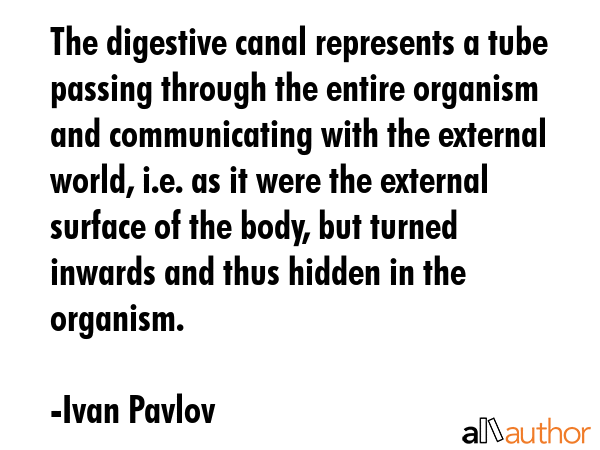 The digestive canal represents a tube passing through the entire organism and communicating with the external world, i.e. as it were the external surface of the body, but turned inwards and thus... - Ivan Pavlov Quote