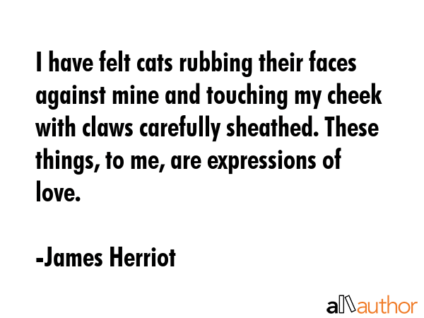 I have felt cats rubbing their faces against mine and touching my cheek with claws carefully... - James Herriot Quote GIF
