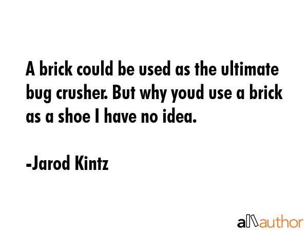 A brick could be used as the ultimate bug crusher. But why youd use a brick as a shoe I have no... - Jarod Kintz Quote GIF