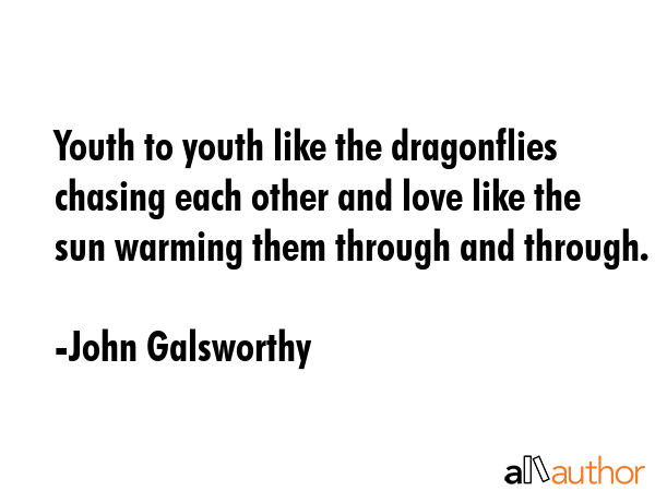 Youth to youth like the dragonflies chasing each other and love like the sun warming them through... - John Galsworthy Quote GIF