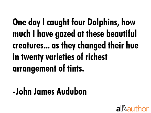 One day I caught four Dolphins, how much I have gazed at these beautiful creatures... as they... - John James Audubon Quote GIF