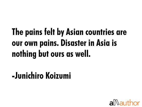 The pains felt by Asian countries are our own pains. Disaster in Asia is nothing but ours as well. - Junichiro Koizumi Quote
