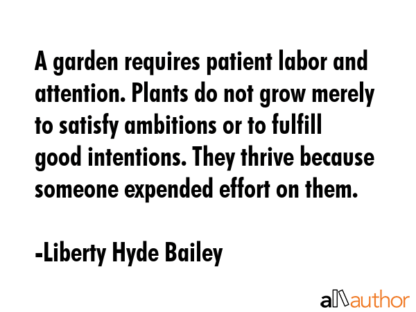 A garden requires patient labor and attention. Plants do not grow merely to satisfy ambitions or to... - Liberty Hyde Bailey Quote GIF