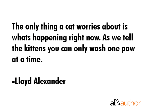 The only thing a cat worries about is whats happening right now. As we tell the kittens you can... - Lloyd Alexander Quote GIF