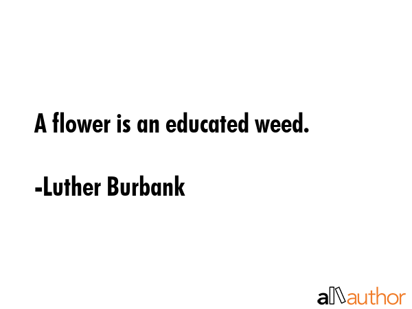 A flower is an educated weed. - Luther Burbank Quote GIF