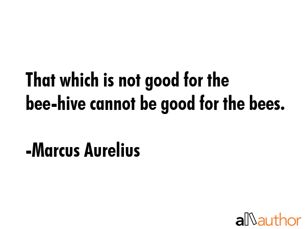 That which is not good for the bee-hive cannot be good for the bees. - Marcus Aurelius Quote GIF