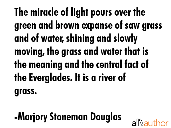The miracle of light pours over the green and brown expanse of saw grass and of water, shining and... - Marjory Stoneman Douglas Quote GIF