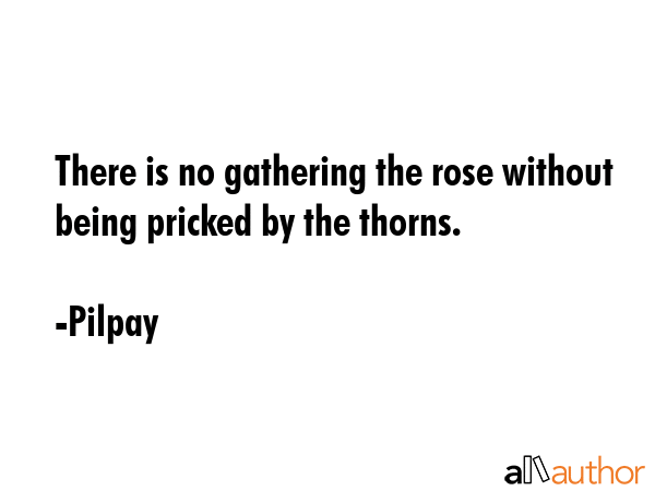 There is no gathering the rose without being pricked by the thorns. - Pilpay Quote GIF