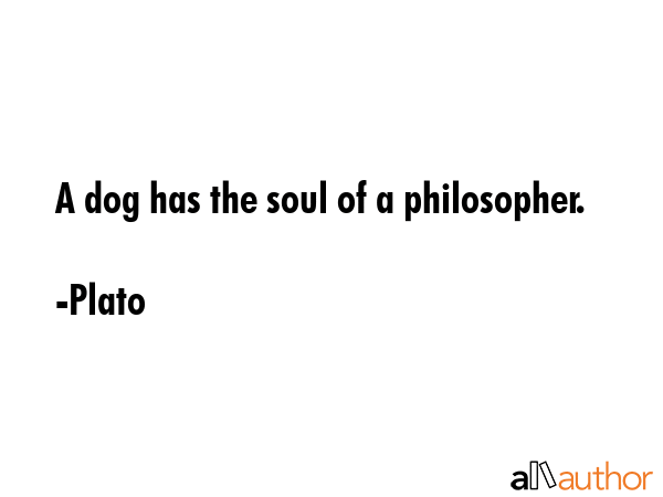 A dog has the soul of a philosopher. - Plato Quote GIF