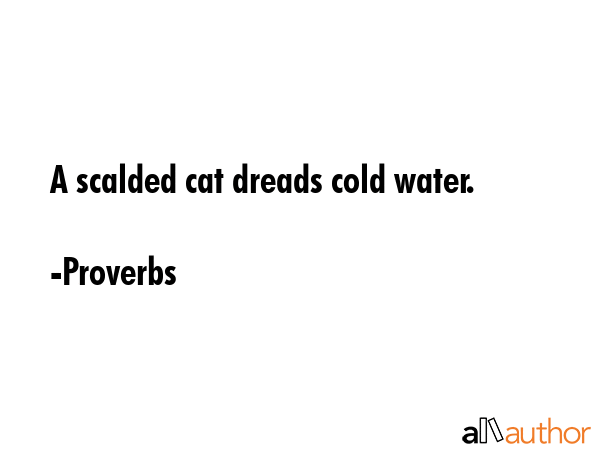 A scalded cat dreads cold water. - Proverbs Quote GIF