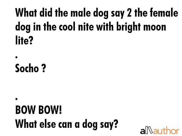 What did the male dog say 2 the female dog in the cool nite with bright moon lite?\n.\nSocho ?\n\n.... -  Quote GIF