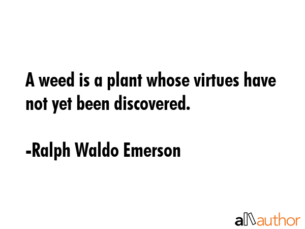 A weed is a plant whose virtues have not yet been discovered. - Ralph Waldo Emerson Quote