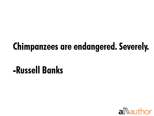 Chimpanzees are endangered. Severely. - Russell Banks Quote GIF