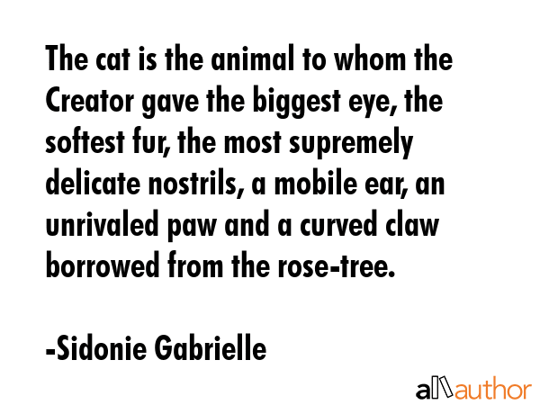 The cat is the animal to whom the Creator gave the biggest eye, the softest fur, the most supremely... - Sidonie Gabrielle Quote GIF