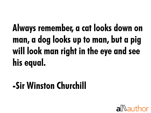 Always remember, a cat looks down on man, a dog looks up to man, but a pig will look man right in... - Sir Winston Churchill Quote GIF