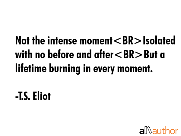 Not the intense momentIsolated with no before and afterBut a lifetime burning in every moment. - T.S. Eliot Quote