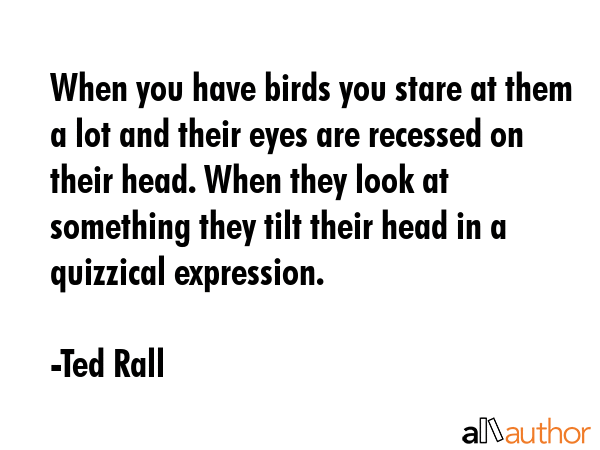 When you have birds you stare at them a lot and their eyes are recessed on their head. When they... - Ted Rall Quote GIF
