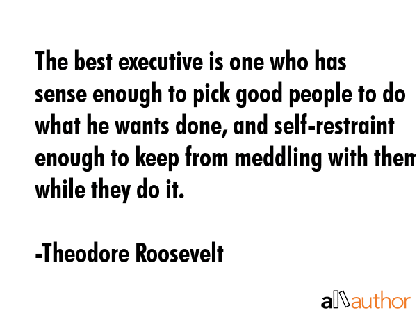 The best executive is one who has sense enough to pick good people to do what he wants done, and... - Theodore Roosevelt Quote GIF