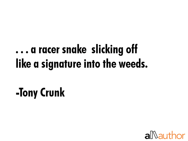 . . . a racer snake  slicking off  like a signature into the weeds. - Tony Crunk Quote GIF