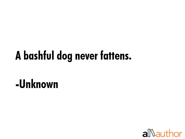 A bashful dog never fattens. - Unknown Quote GIF