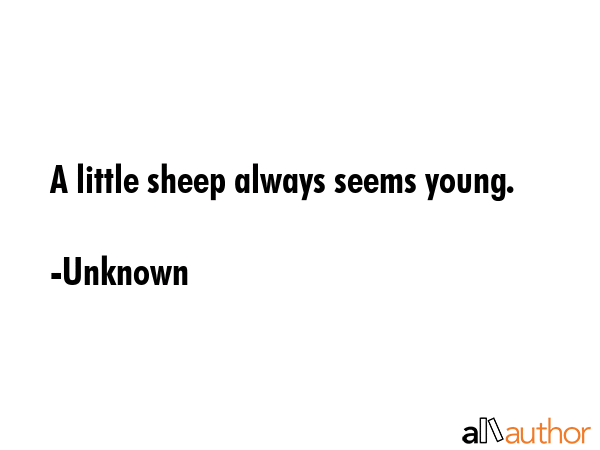 A little sheep always seems young. - Unknown Quote GIF