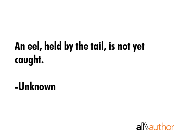 An eel, held by the tail, is not yet caught. - Unknown Quote GIF