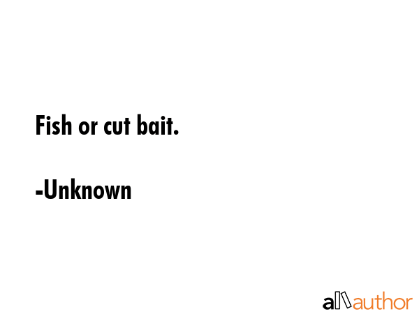 Fish or cut bait. - Unknown Quote GIF