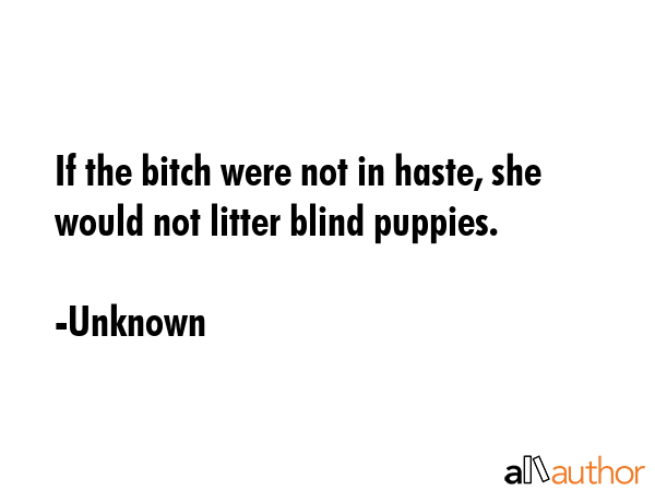 If the bitch were not in haste, she would not litter blind puppies. - Unknown Quote GIF