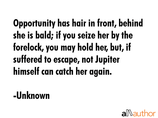 Opportunity has hair in front, behind she is bald; if you seize her by the forelock, you may hold... - Unknown Quote GIF
