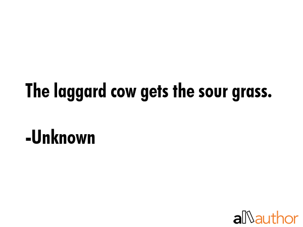 The laggard cow gets the sour grass. - Unknown Quote GIF