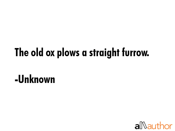 The old ox plows a straight furrow. - Unknown Quote GIF