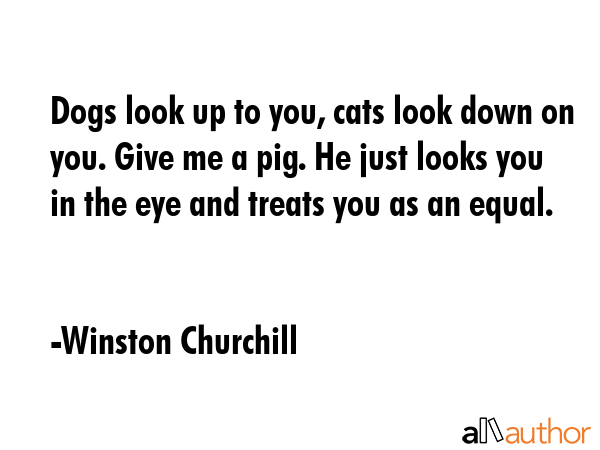 Dogs look up to you, cats look down on you. Give me a pig. He just looks you in the eye and treats... - Winston Churchill Quote GIF