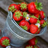 Judith Torres Cardona