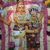Meena Saran